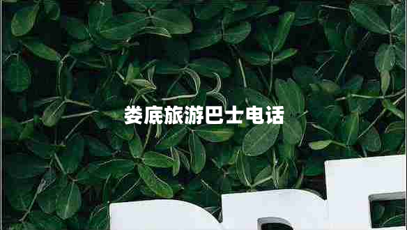 婁底旅游巴士電話 婁底旅游巴士電話