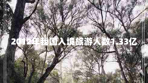 2012年我國入境旅游人數(shù)1.33億