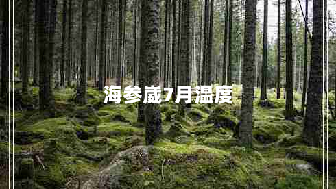 海參崴7月溫度
