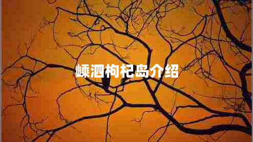 嵊泗枸杞島介紹