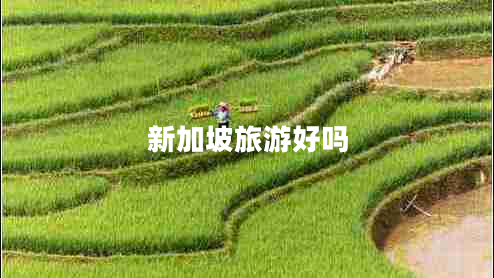 新加坡旅游好嗎