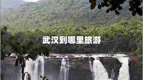 武漢到哪里旅游