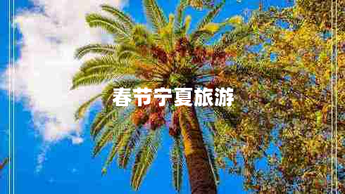 春節(jié)寧夏旅游