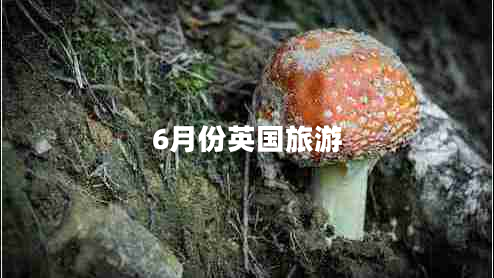 6月份英國旅游