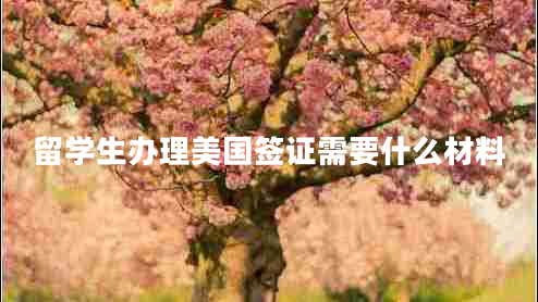 留學生辦理美國簽證需要什么材料