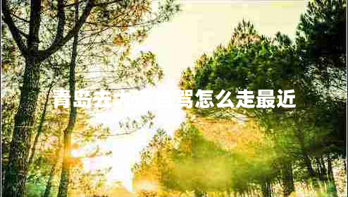 青島去大連自駕怎么走最近