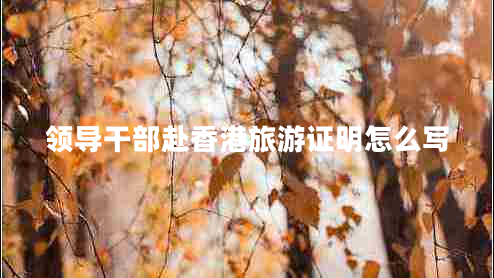 領(lǐng)導(dǎo)干部赴香港旅游證明怎么寫