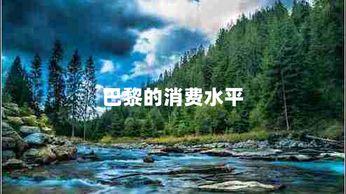 巴黎的消費(fèi)水平