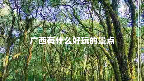 廣西有什么好玩的景點(diǎn)