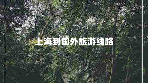 上海到國外旅游線路