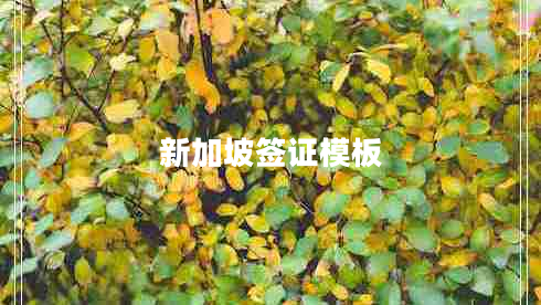 新加坡簽證模板