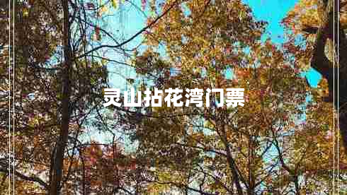 靈山拈花灣門(mén)票 靈山拈花灣門(mén)票