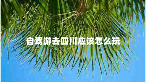 自駕游去四川應(yīng)該怎么玩