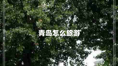 青島怎么旅游 青島怎么旅游