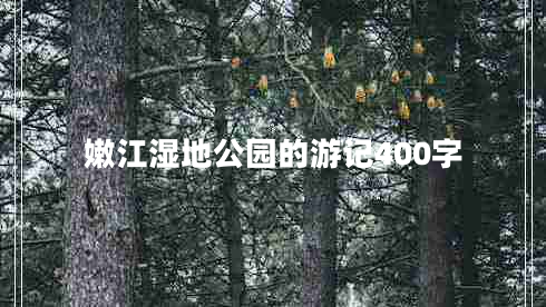嫩江濕地公園的游記400字 嫩江濕地公園的游記400字