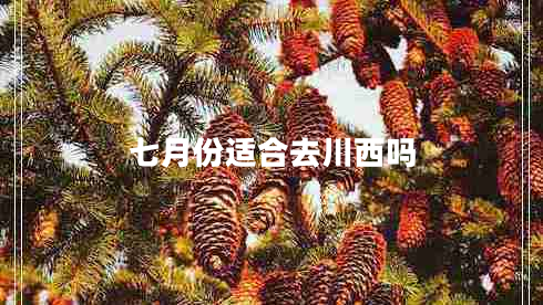 七月份適合去川西嗎