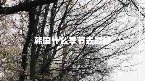 韓國(guó)什么季節(jié)去最好