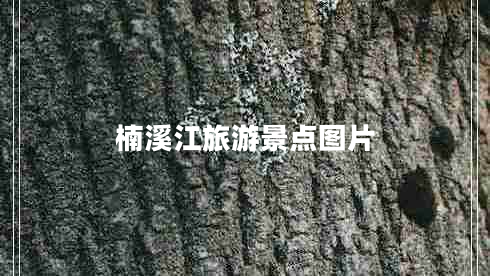 楠溪江旅游景點圖片