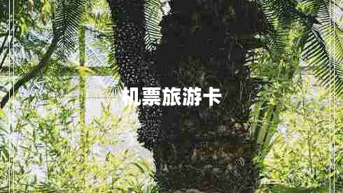 機(jī)票旅游卡