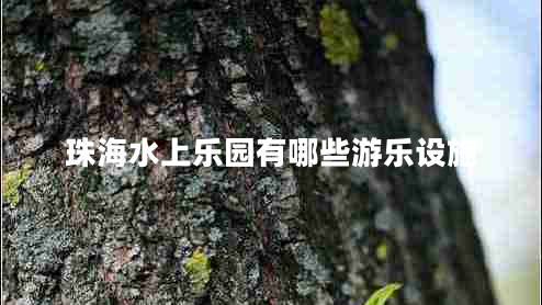 珠海水上樂園有哪些游樂設施