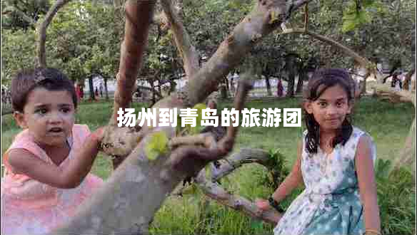 揚(yáng)州到青島的旅游團(tuán) 揚(yáng)州到青島的旅游團(tuán)