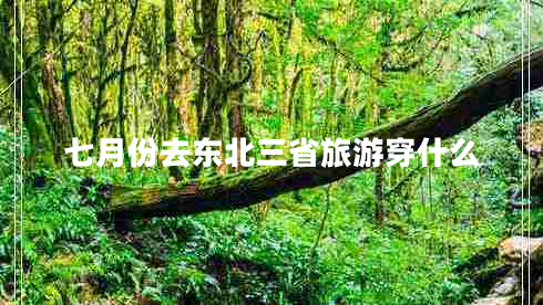 七月份去東北三省旅游穿什么