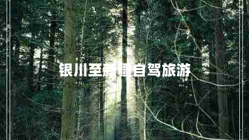 銀川至新疆自駕旅游