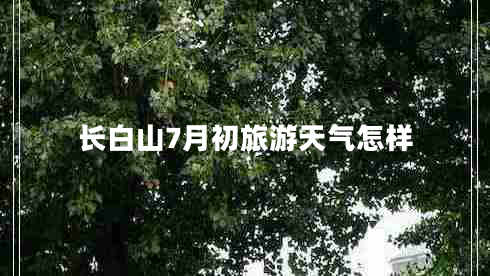 長(zhǎng)白山7月初旅游天氣怎樣