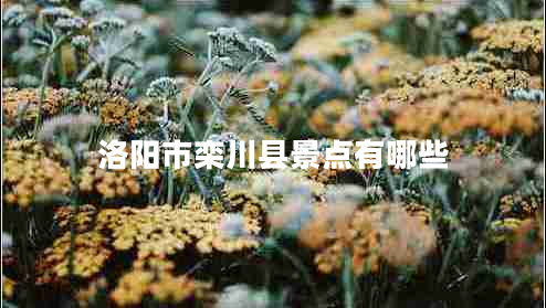 洛陽市欒川縣景點有哪些 洛陽市欒川縣景點有哪些