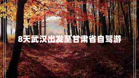 8天武漢出發(fā)至甘肅省自駕游