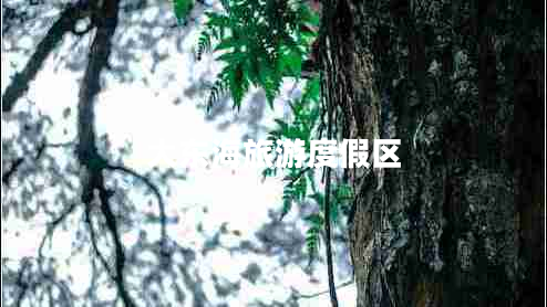 大東海旅游度假區(qū) 大東海旅游度假區(qū)