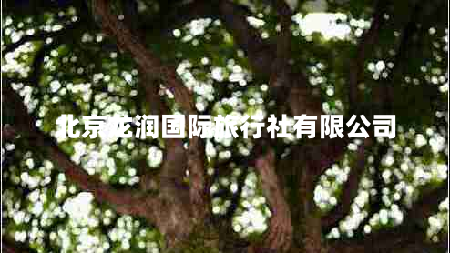 北京龍潤(rùn)國(guó)際旅行社有限公司 北京龍潤(rùn)國(guó)際旅行社有限公司