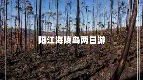 陽江海陵島兩日游