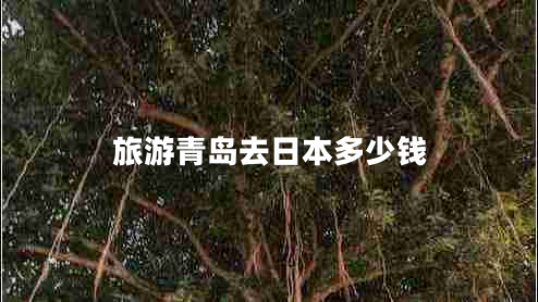 旅游青島去日本多少錢