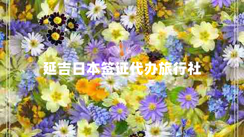 延吉日本簽證代辦旅行社