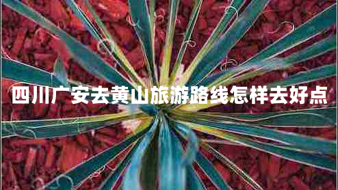 四川廣安去黃山旅游路線怎樣去好點(diǎn)
