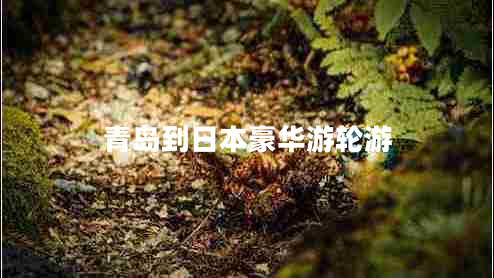 青島到日本豪華游輪游