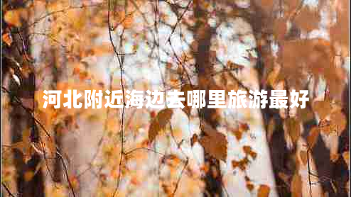 河北附近海邊去哪里旅游最好