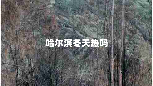 哈爾濱冬天熱嗎