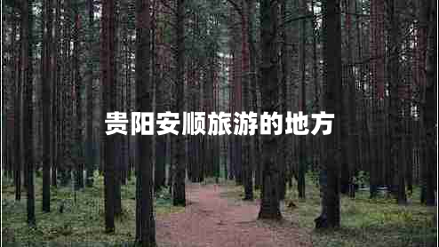 貴陽(yáng)安順旅游的地方