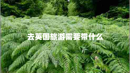 去英國(guó)旅游需要帶什么