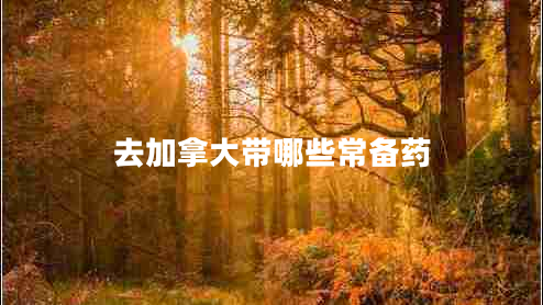 去加拿大帶哪些常備藥