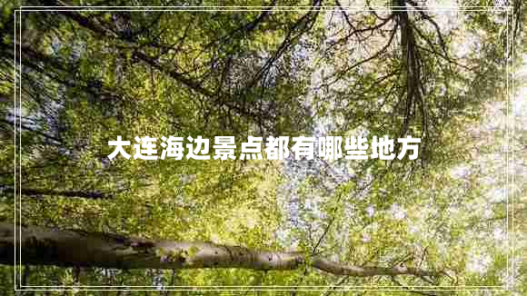 大連海邊景點(diǎn)都有哪些地方