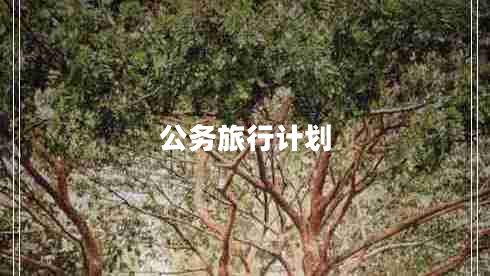 公務(wù)旅行計劃