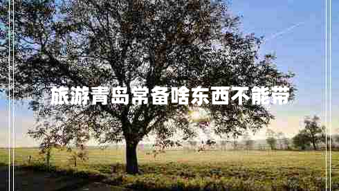 旅游青島常備啥東西不能帶