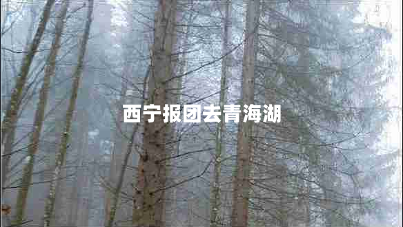 西寧報團去青海湖