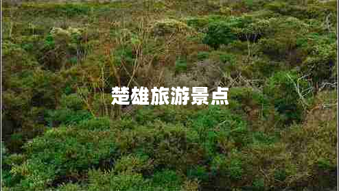 楚雄旅游景點(diǎn) 楚雄旅游景點(diǎn)