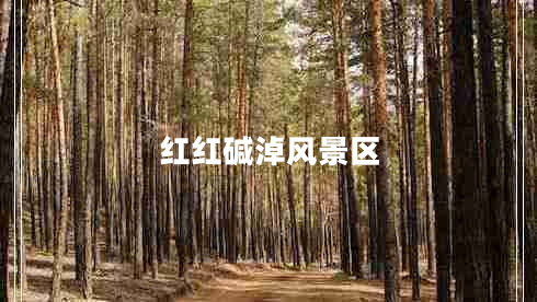 紅紅堿淖風(fēng)景區(qū) 紅紅堿淖風(fēng)景區(qū)