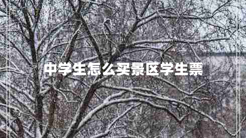 中學生怎么買景區(qū)學生票