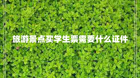 旅游景點(diǎn)買學(xué)生票需要什么證件